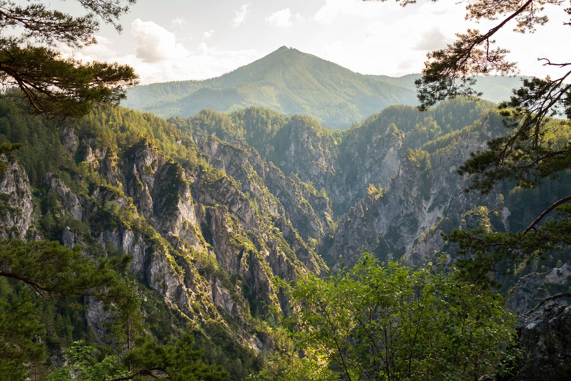Die majestätischen Felsen der Zinkenschlucht erheben sich steil und eindrucksvoll, umgeben von üppigem Grün und dem sanften Rauschen eines Baches. Hier, wo die Natur in ihrer reinsten Form erlebbar ist, lädt die atemberaubende Landschaft zu unvergesslichen Wanderungen und Erkundungen ein.
