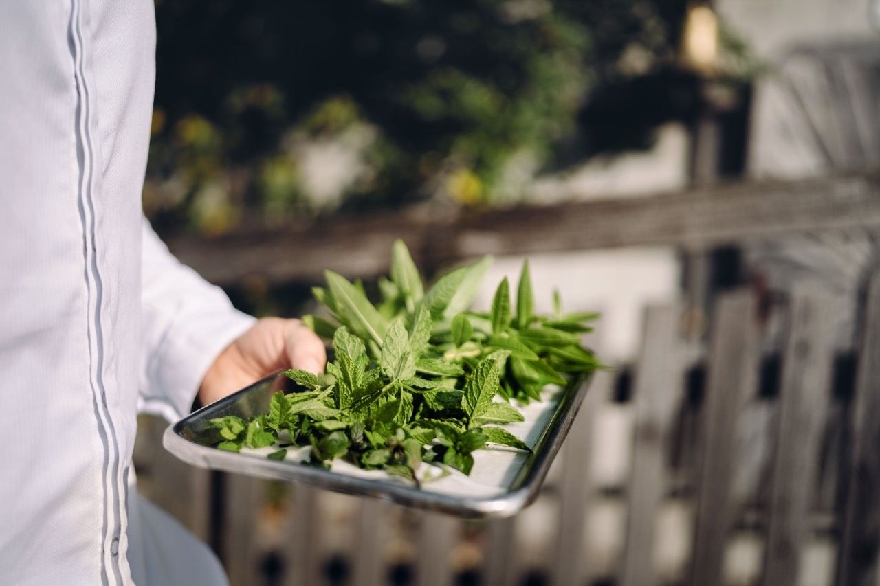 Landgasthof Bachlerhof