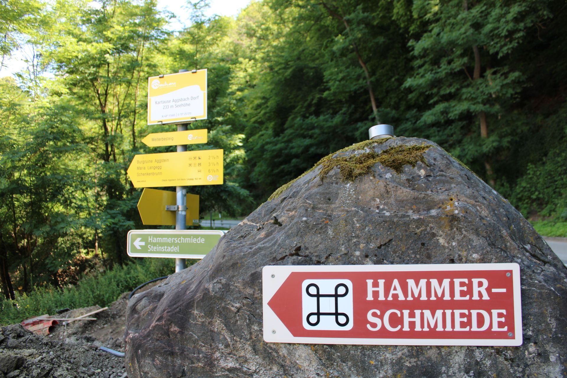 Wegweiser zur Hammerschmiede in Aggsbach, umgeben von Bäumen.