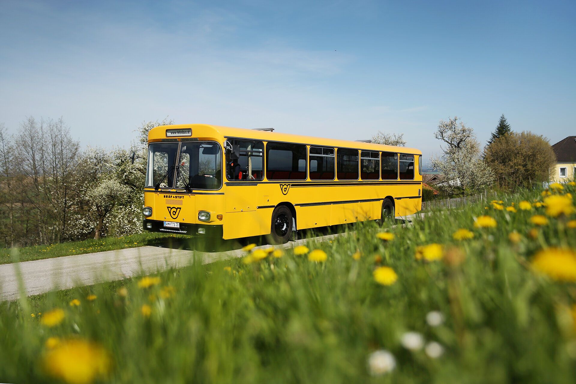 Ein leuchtend gelber Retrobus fährt gemächlich entlang der malerischen Moststraße, umgeben von blühenden Birnbäumen. Die sanfte Frühlingsbrise und die strahlende Sonne laden dazu ein, die Schönheit der Natur zu genießen und die idyllische Landschaft zu erkunden.