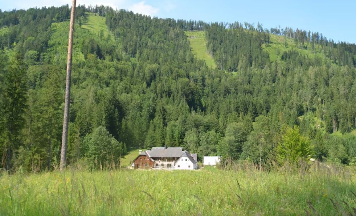 Almchalet Der Amerikaner
