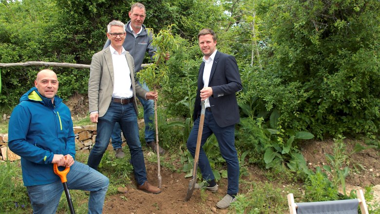 Auspflanzung am Parapluiberg, © Verein Traisentaler Wein