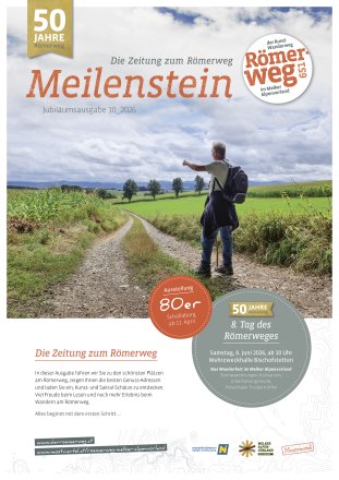Cover Meilenstein Magazin