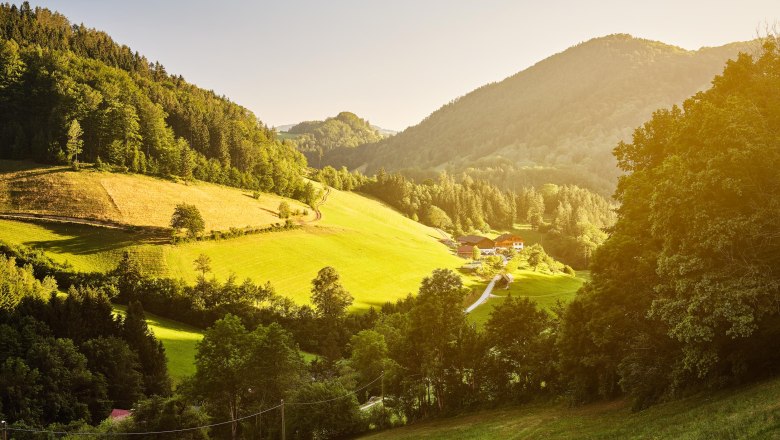Dwarf farm, &copy; Michael Liebert