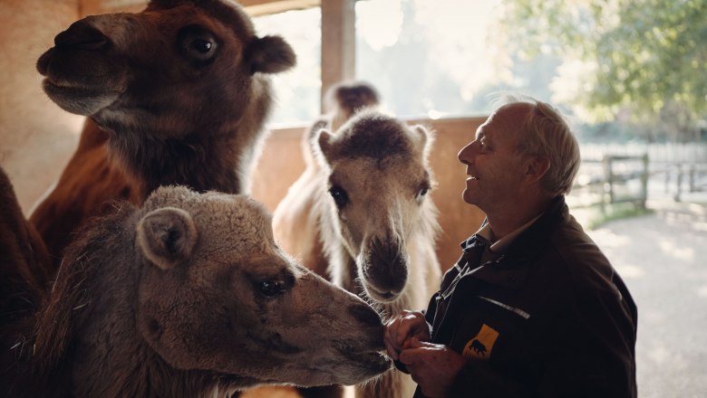 Tierpark Stadt Haag, © Moststraße, dochbodnliacht