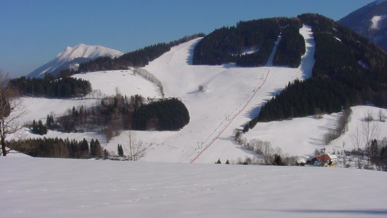 Schneebedeckte Skipisten und Wälder in einer Berglandschaft.