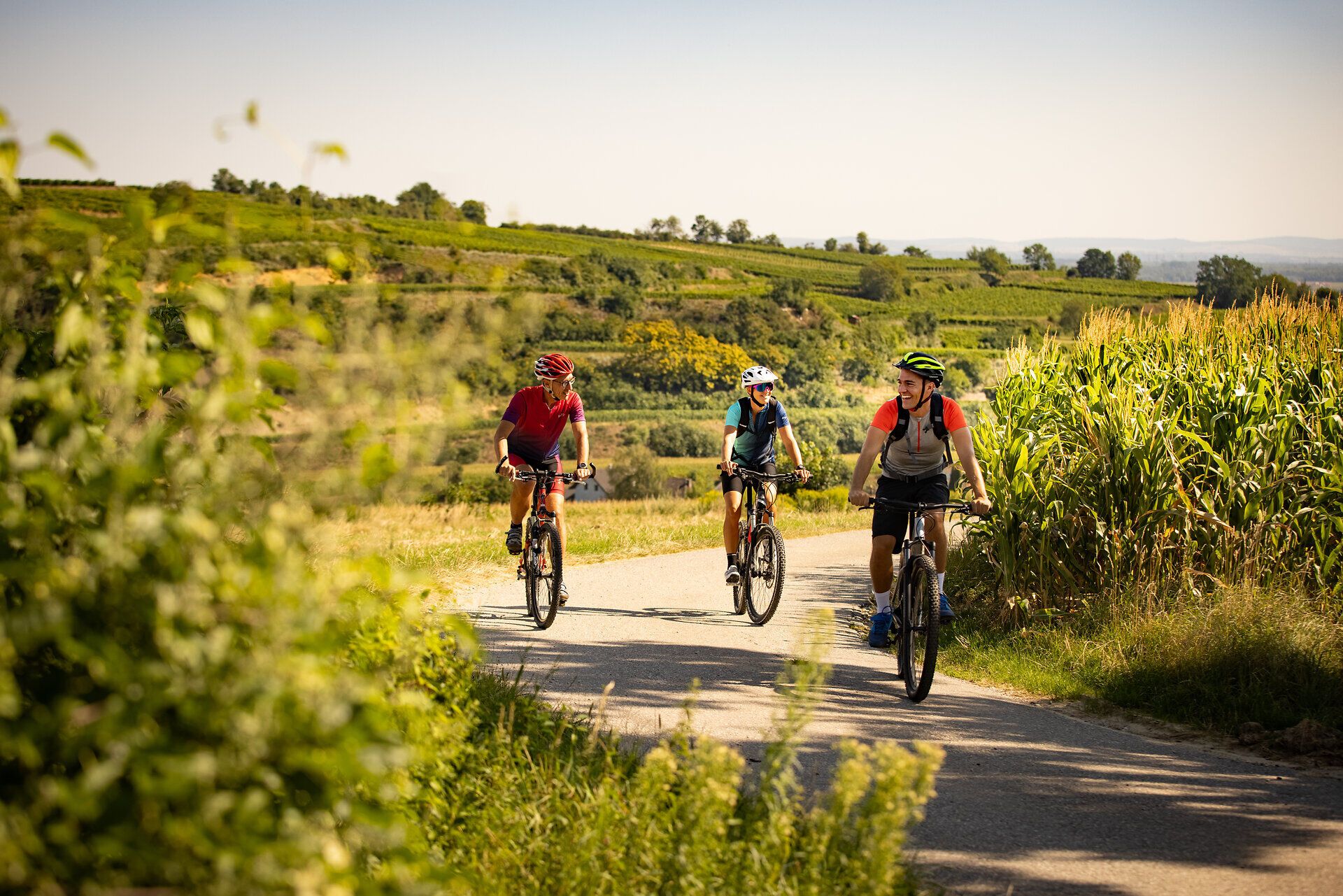 Die sanften Hügel des Weinlandes laden zu einer erfrischenden Mountainbiketour ein. Radfahrer genießen die atemberaubende Aussicht auf die Weinberge und die idyllische Landschaft, während sie die frische Luft und die Sonne auf ihrer Haut spüren.