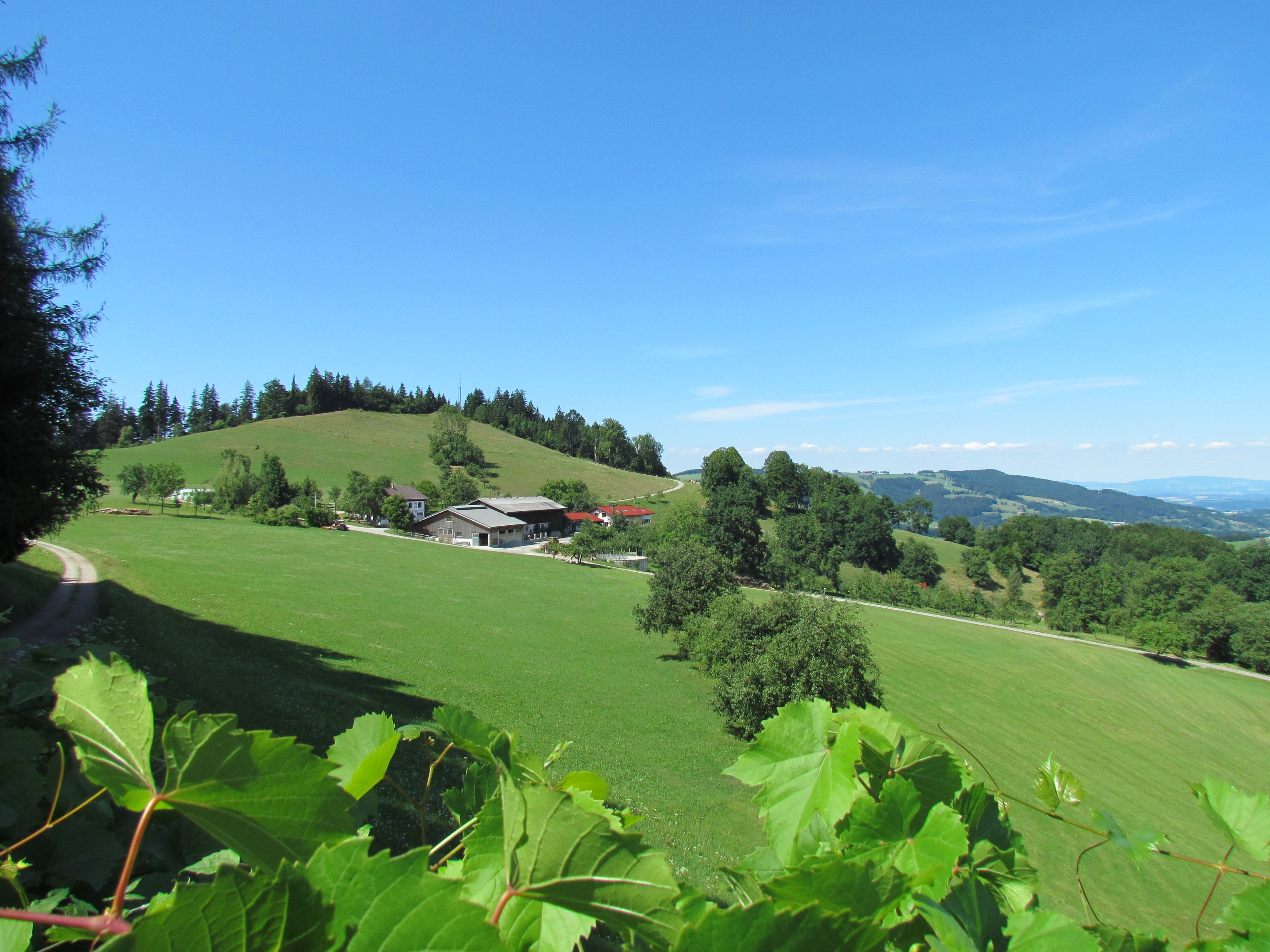 Rund um das Kulturdorf Reinsberg