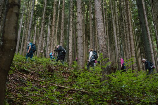 Wanderung aufs Hohenberger Gschwendt, &copy; Diana Bachler