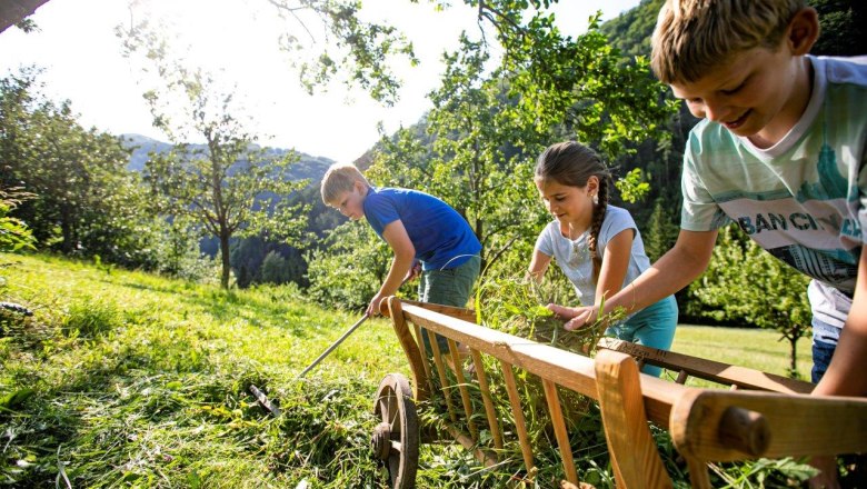 Vacation at the Zwergerlhof, &copy; schwarz-koenig.at