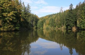 Pirschlwiesenteich, &copy; OEAV Ortsgruppe Blindenmarkt