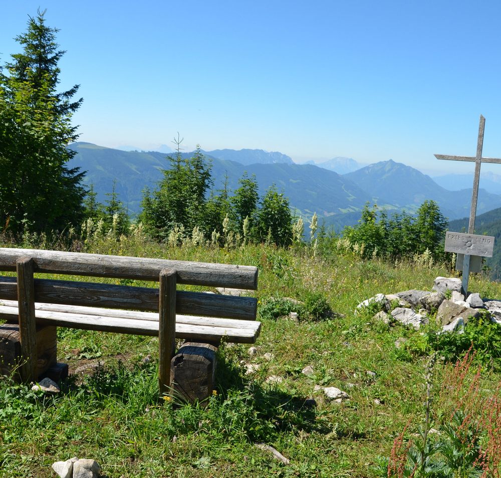 Gipfelkreuz am Friesling