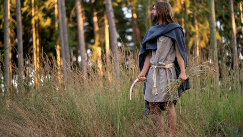 Early Bronze Age farmer with sickle during the harvest - Life-size image, © Benedict Seidl