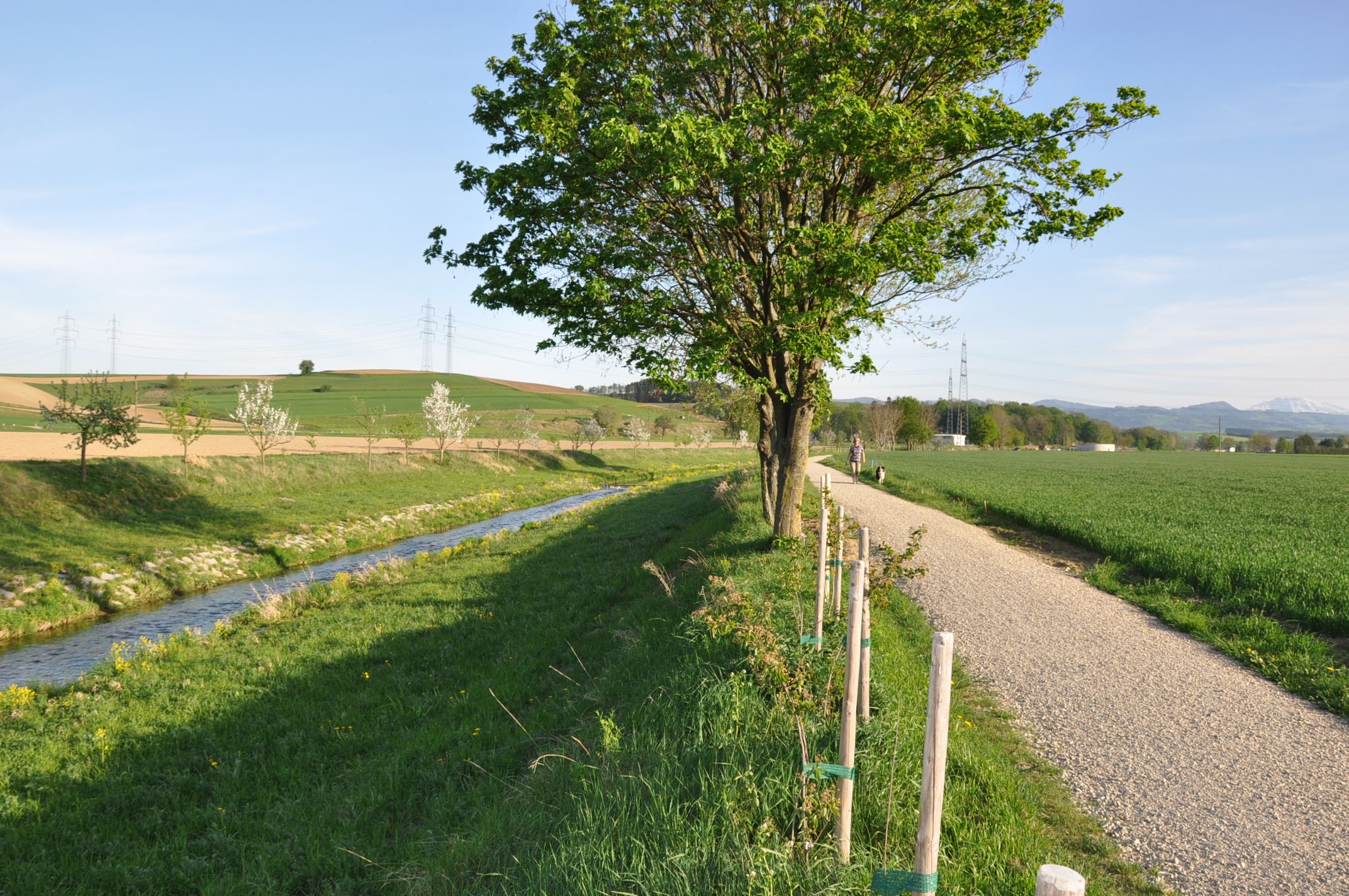 Ein Weg entlang eines Baches mit Bäumen und Feldern, unter blauem Himmel.