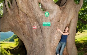 B&auml;rntal-Lacke natural monument, &copy; www.extremfotos.com