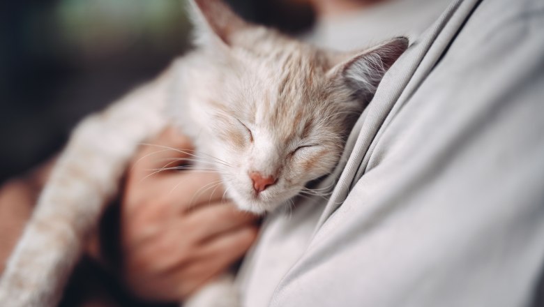 Mostheuriger Resch am Hörlesberg, © Moststraße, dochbodnliacht