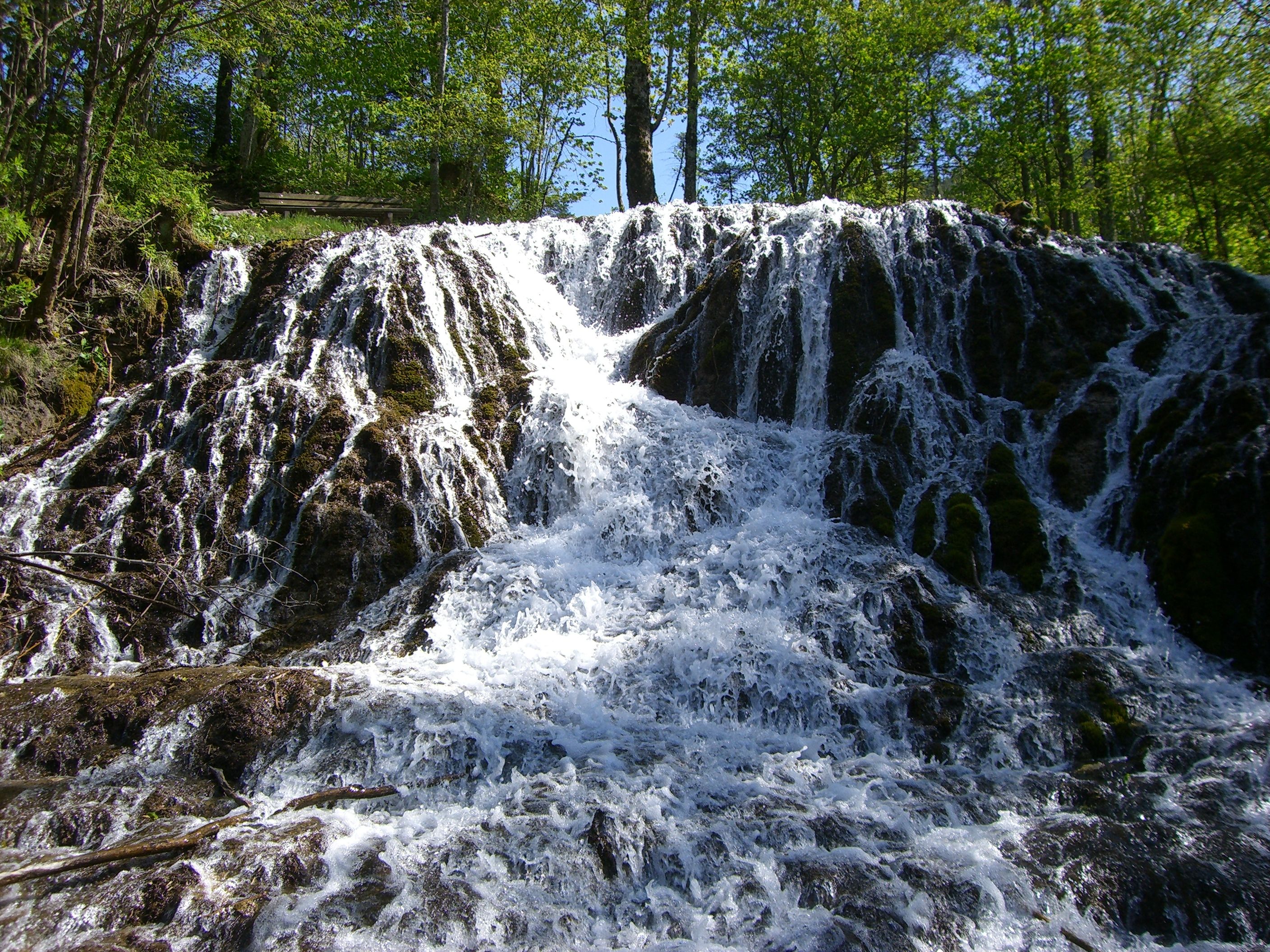 Ein Wasserfall fließt über moosbedeckte Felsen in einem Wald.