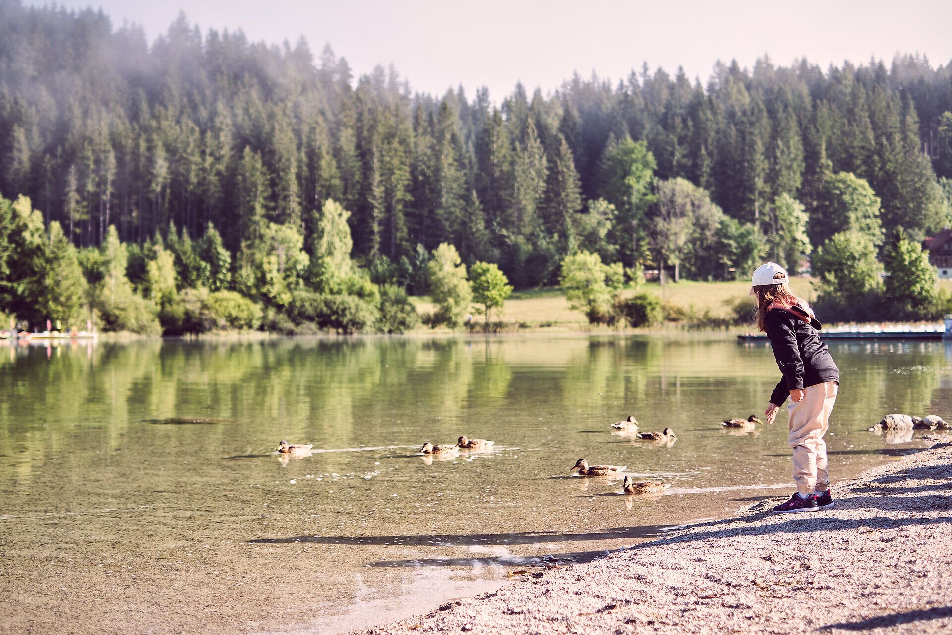 Am Ufer des glitzernden Erlaufsees tummeln sich fröhliche Enten, während die sanften Wellen das Licht der Sonne reflektieren. Umgeben von majestätischen Wäldern und der frischen Bergluft, lädt dieser Ort zum Verweilen und Entspannen ein.