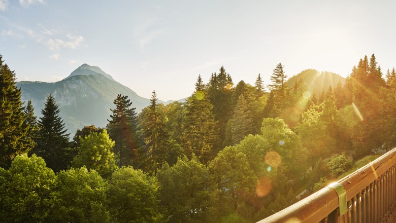 Ausblick auf den &Ouml;tscher, &copy; Michael Liebert