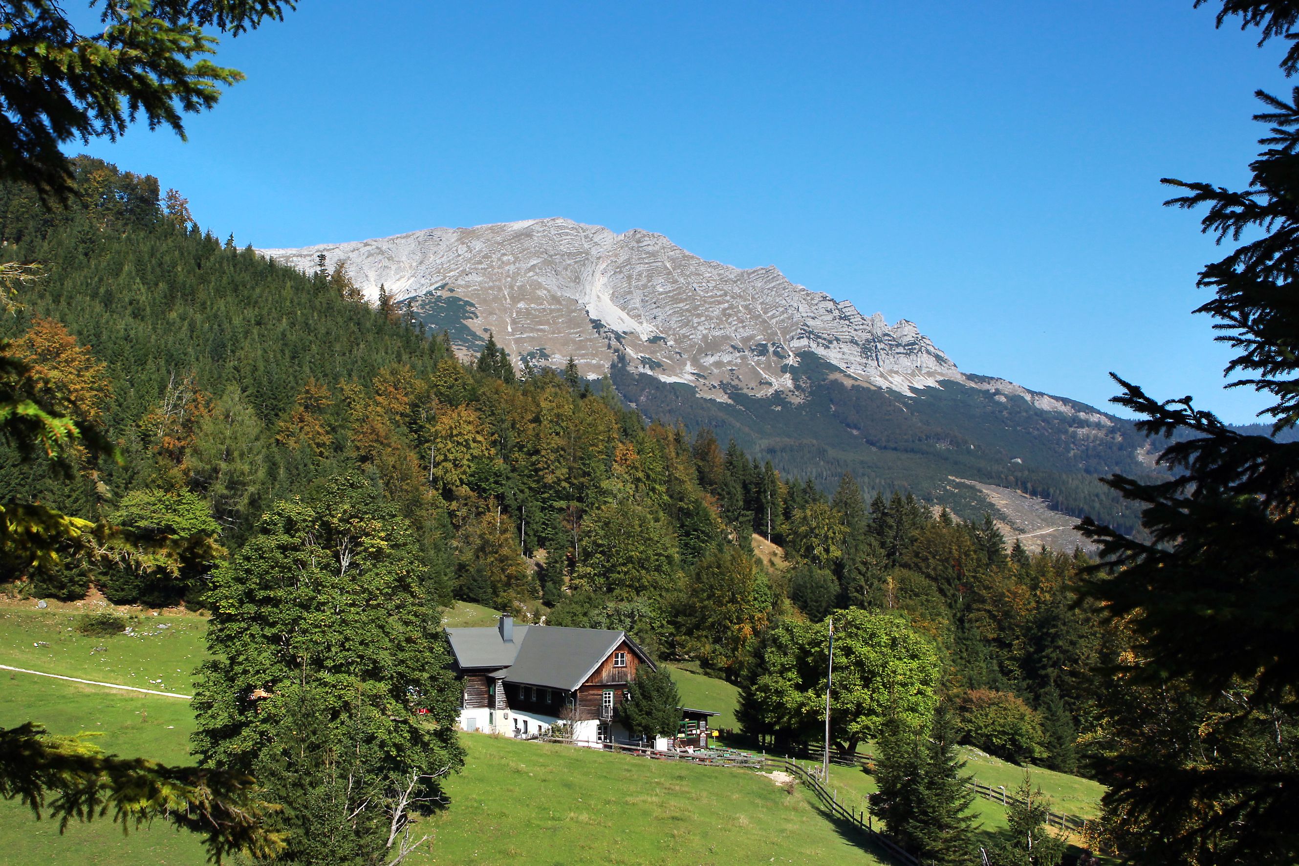 Berglandschaft im Naturpark Ötscher Tormäuer mit Wald und Hütte im Vordergrund.