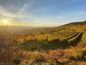 Herbstliche Stimmung im Weinland Traisental, © Walter Pernikl
