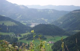 Zwickelreit - G&auml;nsau, &copy; Mostviertel