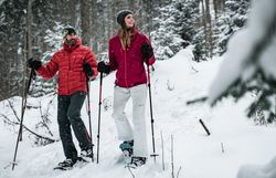 Inmitten der verschneiten Landschaft der Ybbstaler Alpen genießen zwei Wanderer die frische Winterluft beim Schneeschuhwandern. Die sanften Hügel und die schneebedeckten Bäume schaffen eine malerische Kulisse, die zum Entdecken und Verweilen einlädt.