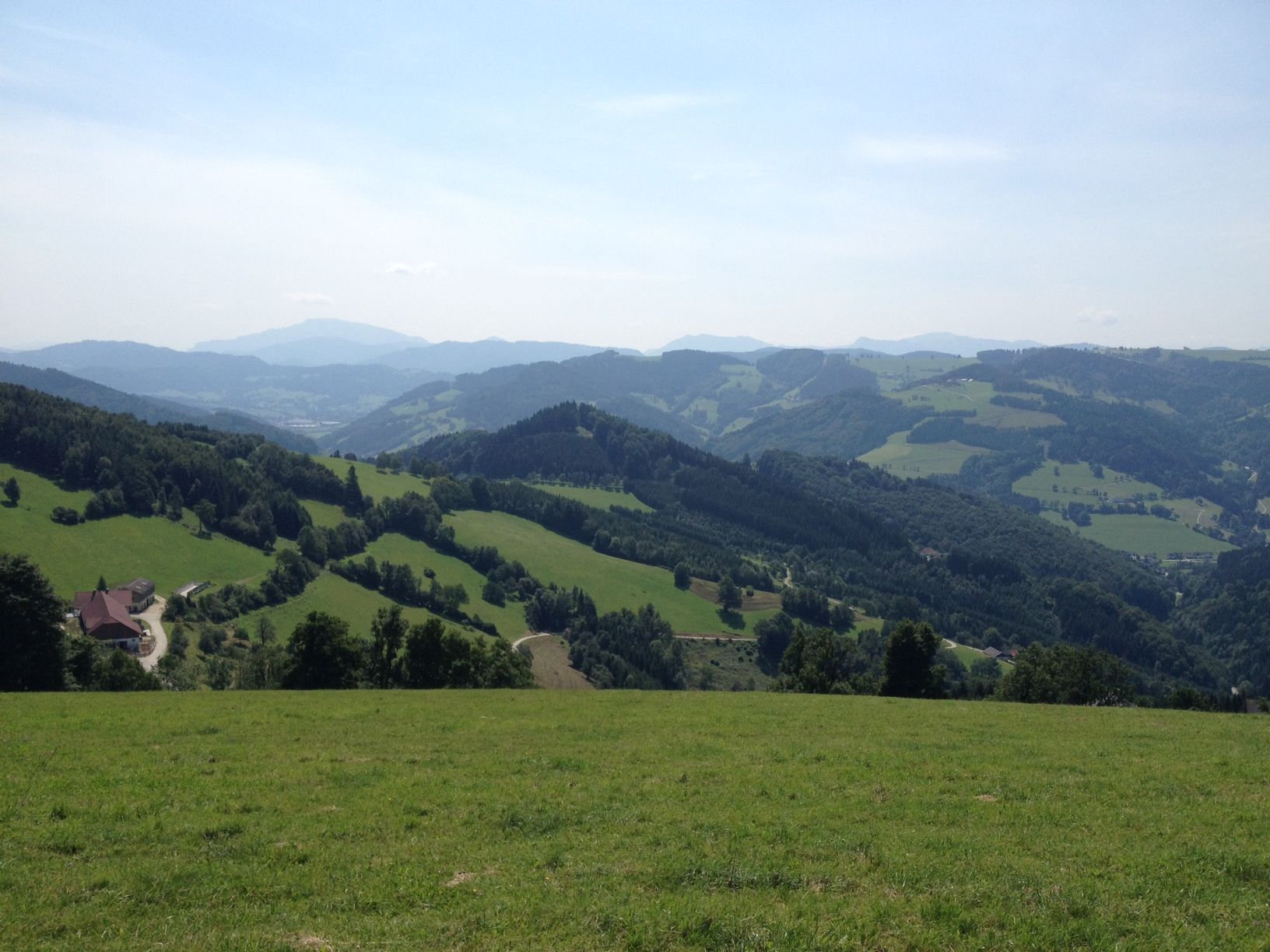 Panorama einer hügeligen Landschaft mit Wiesen und Wäldern unter blauem Himmel.
