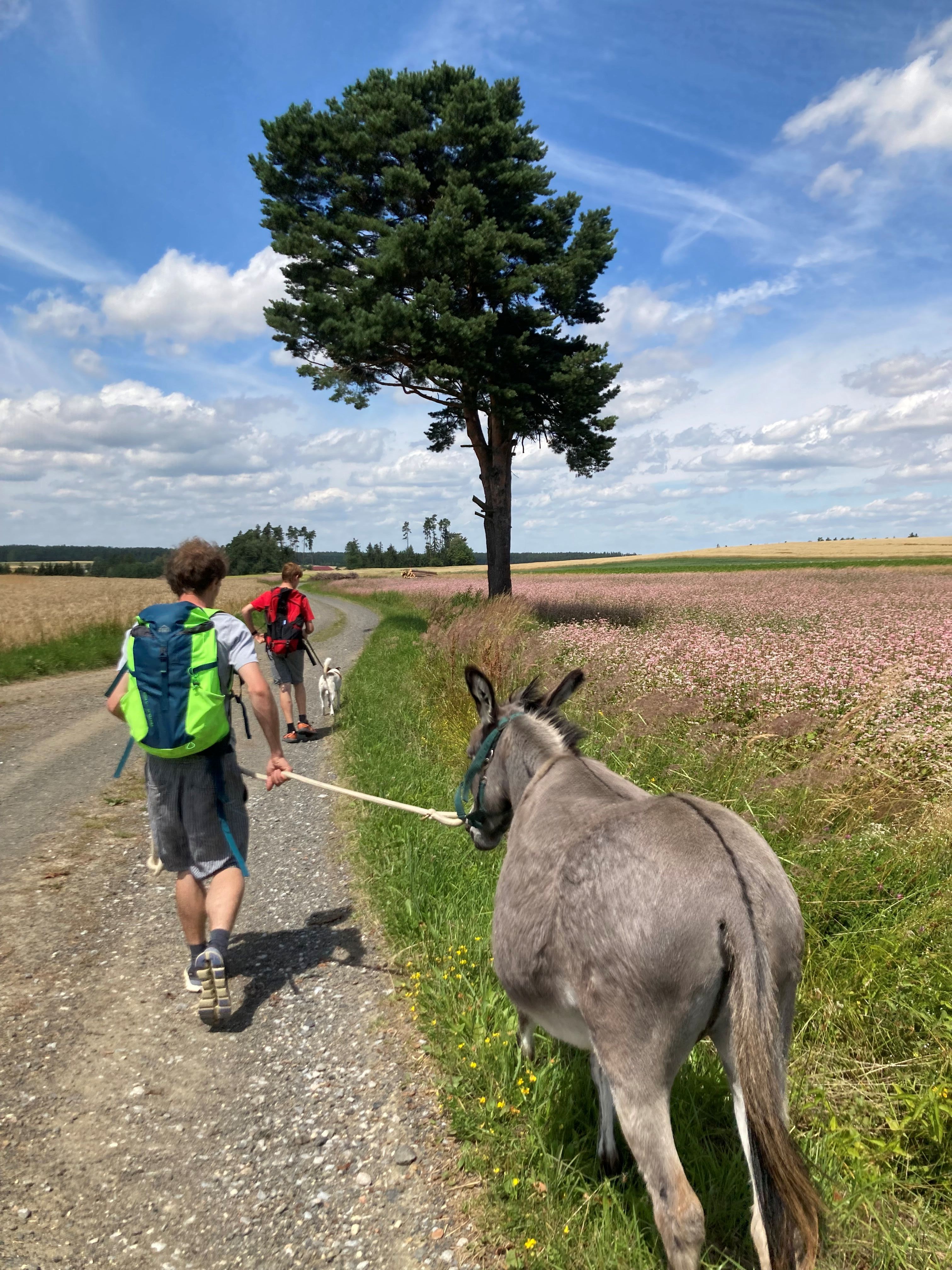 Eselwanderung am Esperanzahof