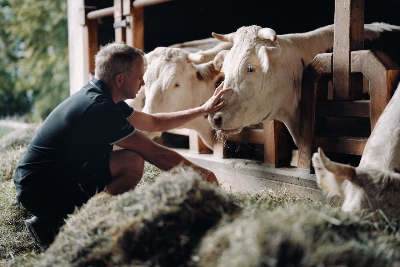 Mostheuriger & Hofladen Hauer