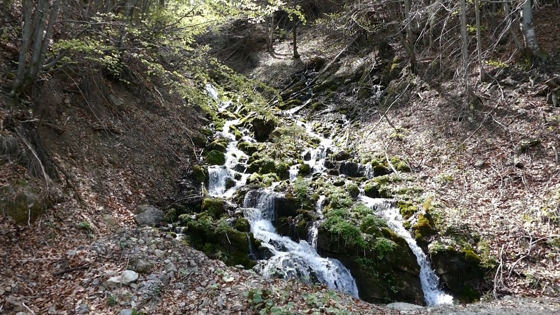 Wanderweg 7-5