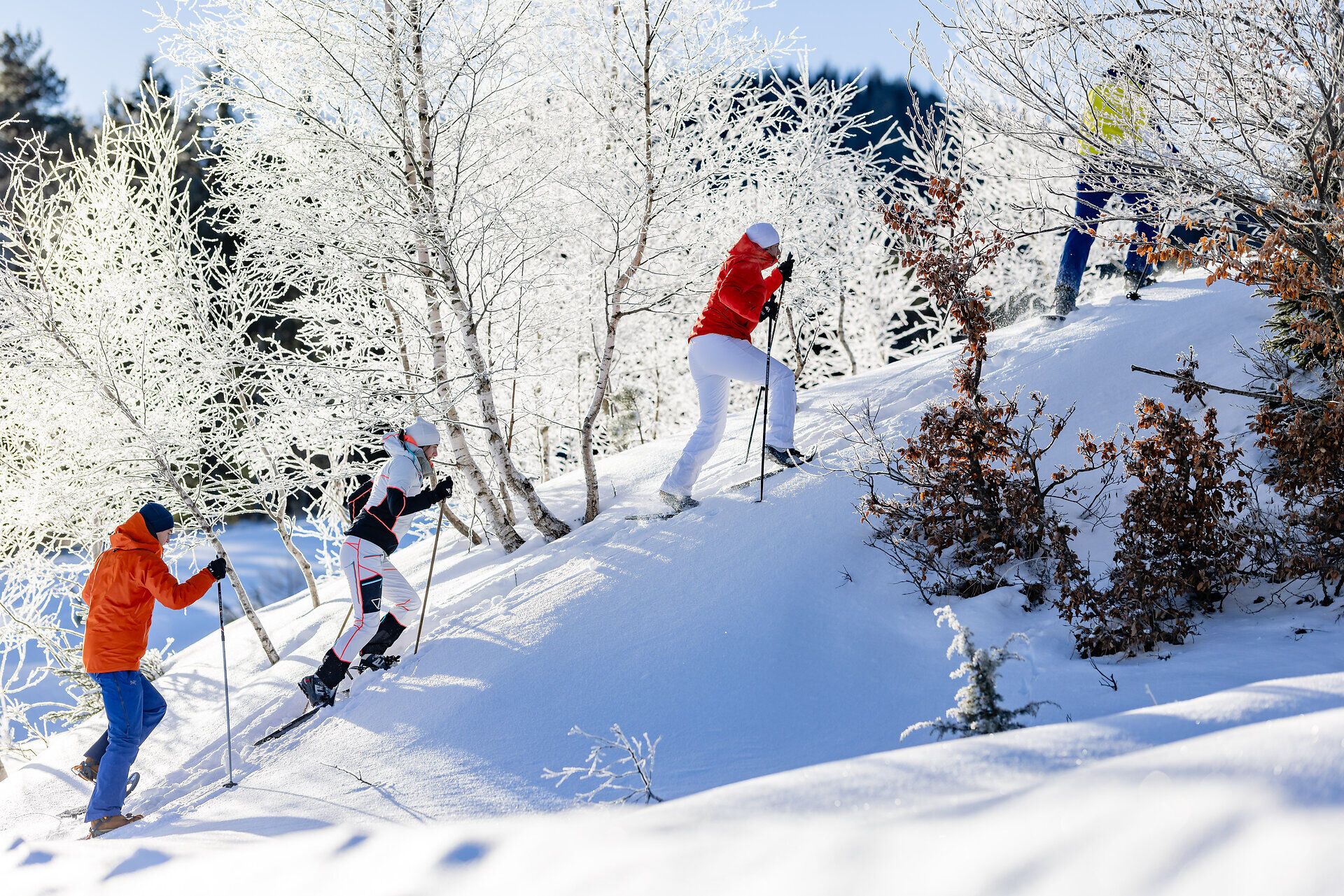 Eine Gruppe von Freunden genießt die winterliche Landschaft beim Schneeschuhwandern. Die schneebedeckten Hügel und die glitzernden Bäume schaffen eine zauberhafte Atmosphäre, die zum Verweilen einlädt. Hier in den Bergen wird der Winter zu einem unvergesslichen Erlebnis.