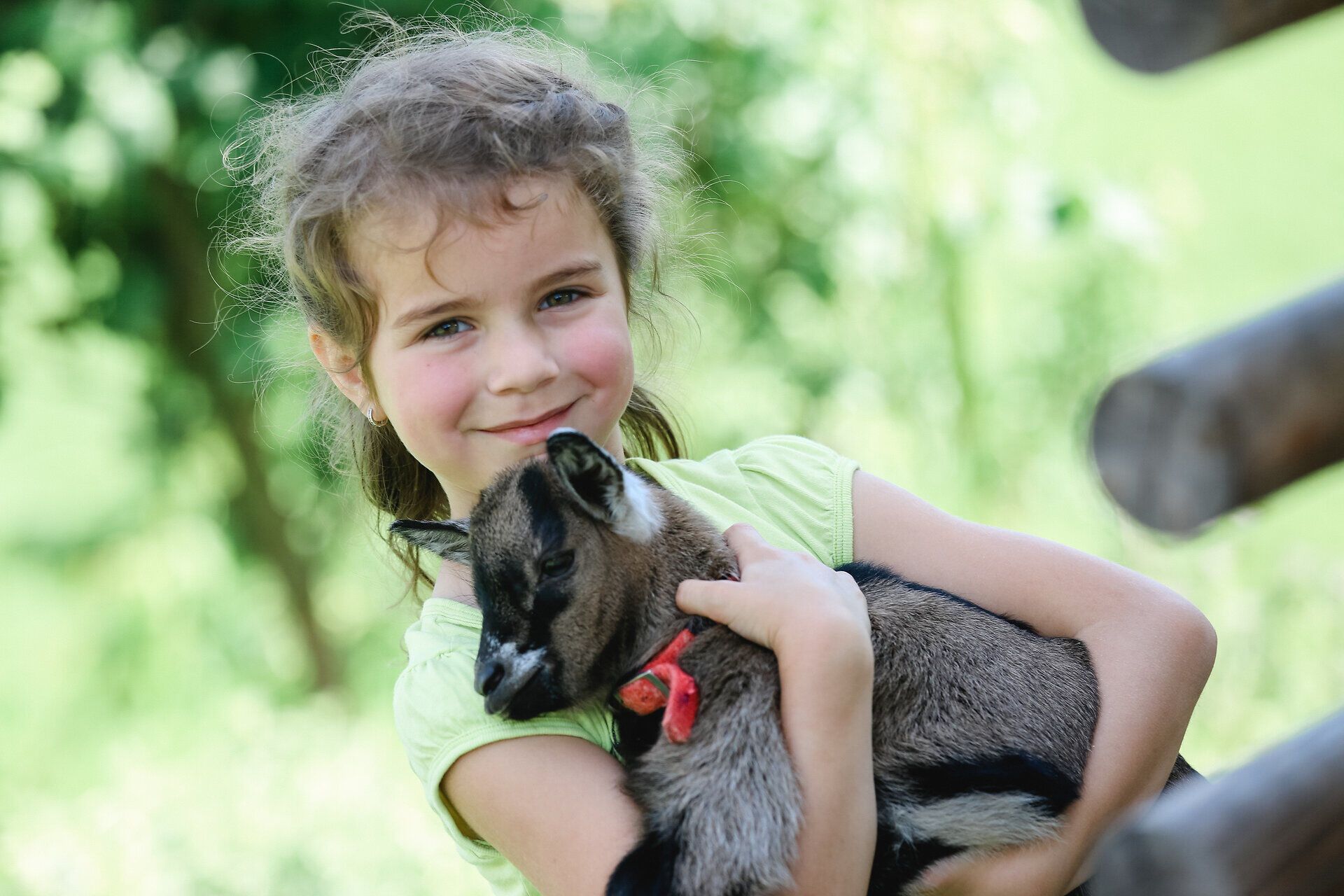 Ein strahlendes Lächeln erhellt das Gesicht eines Mädchens, während sie ein kleines Zicklein liebevoll in den Armen hält. Umgeben von der grünen Idylle des Mostviertels, strahlt die Szene eine herzliche Verbundenheit zur Natur und den Tieren aus. Diese unbeschwerte Momentaufnahme lädt dazu ein, die Freude an den Abenteuern auf dem Bauernhof zu erleben.