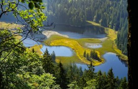 View of the Obersee, &copy; Felix Helmel