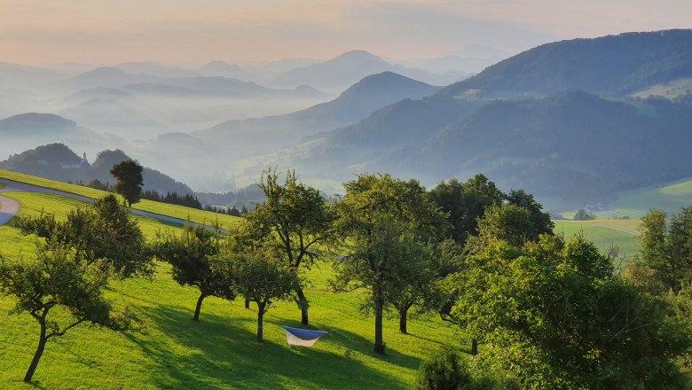 Organic farm Mitterhirschberg, © Familie Schweighuber