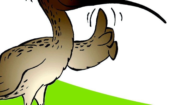 Mr. Piep Themenweg, © Marktgemeinde Ardagger