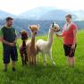 Hiking with the alpacas, © Urlaub am Bauernhof - Fam. Schweighuber