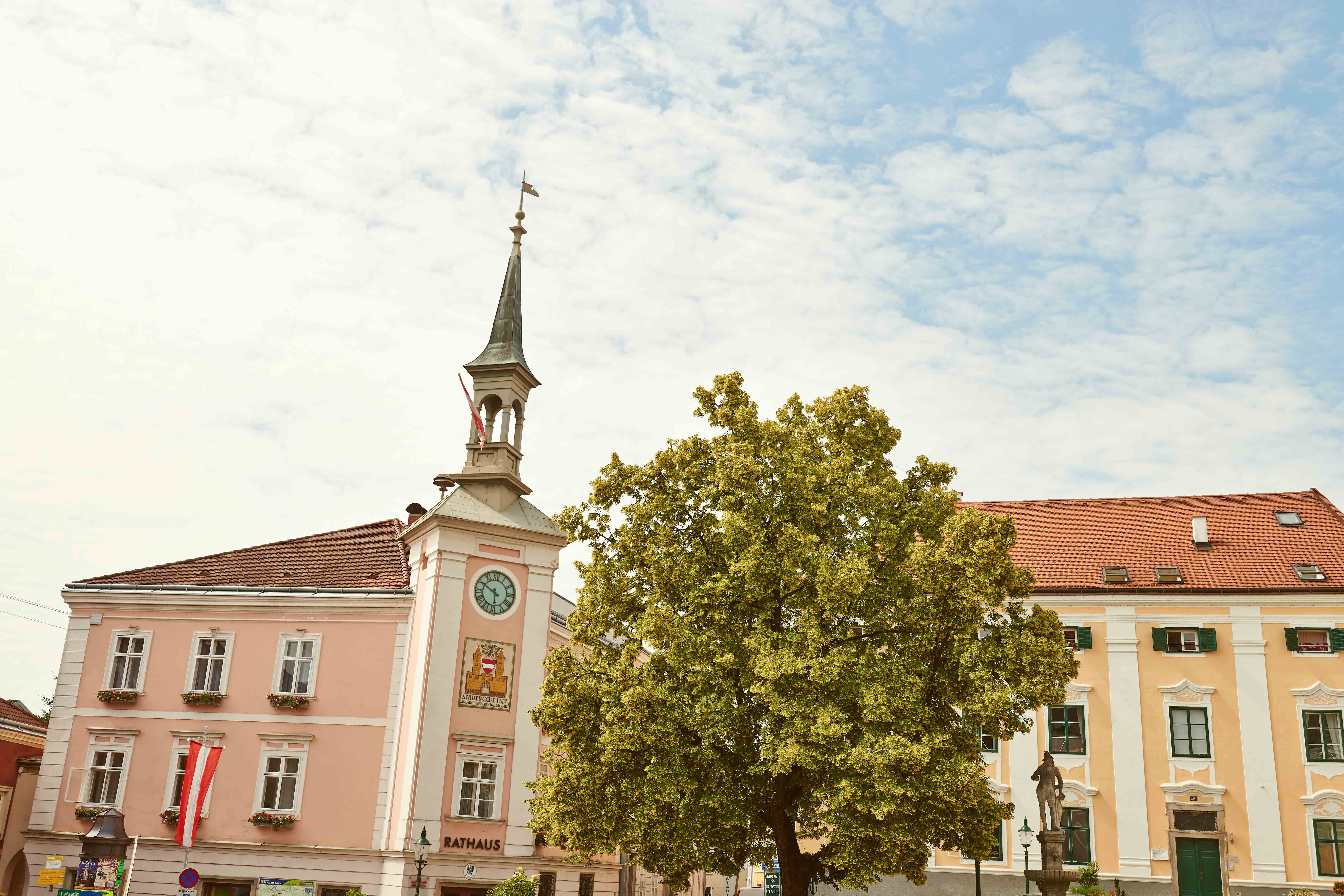 Hauptplatz von Ybbs mit Rathaus und Baum.