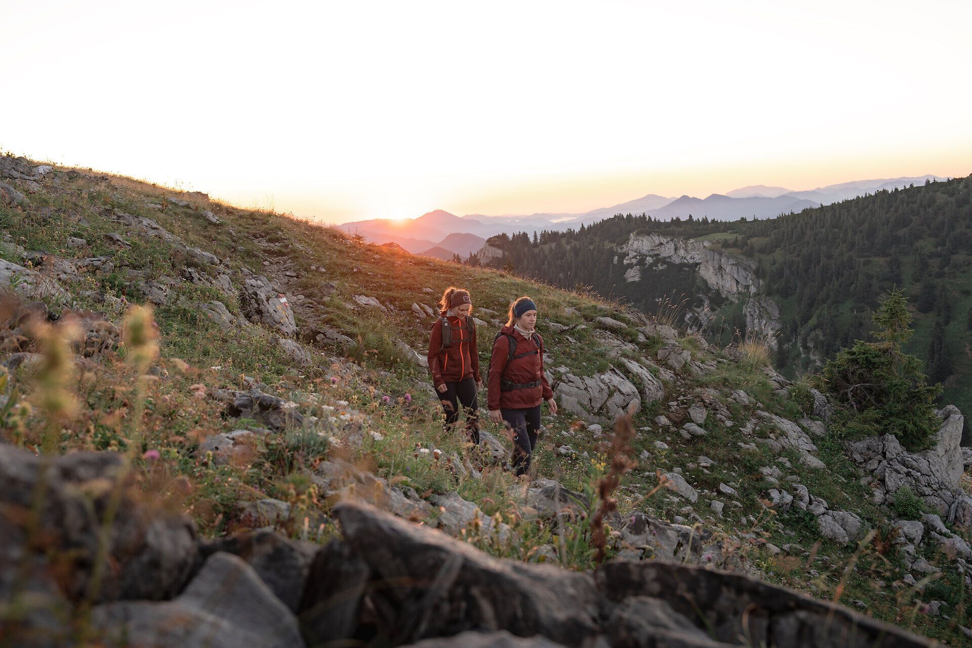 Die sanften Hügel der Ybbstaler Alpen erstrahlen im warmen Licht des Sonnenaufgangs, während zwei Wanderer den Pfad entlang schreiten. Umgeben von blühenden Alpenkräutern und dem sanften Rauschen des Windes, erleben sie die friedliche Stille der Natur. Ein unvergesslicher Moment, der die Schönheit des Bergsommers in den Bergen perfekt einfängt.