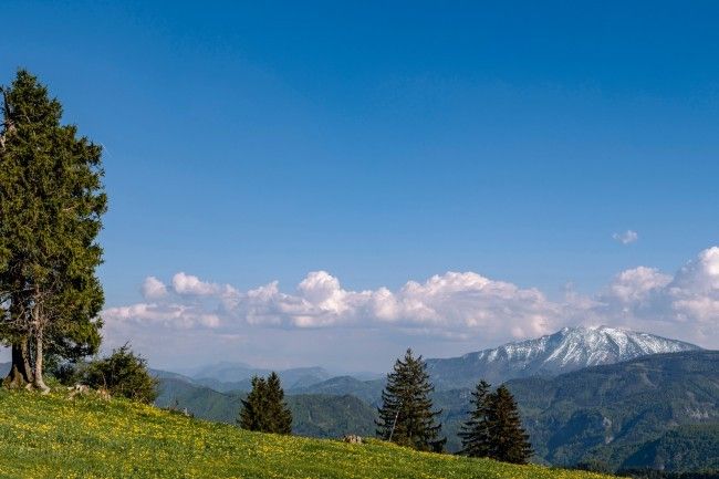 Rund um das Kulturdorf Reinsberg