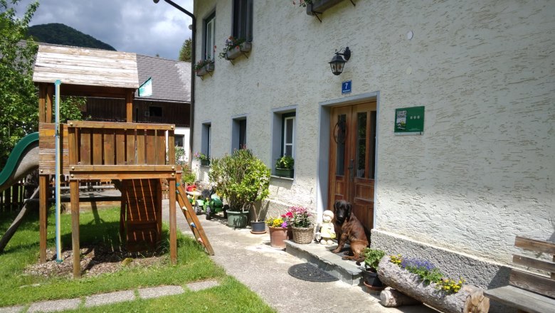 Organic farm Wiesbauer, &copy; Pfeffer