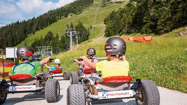 Personen fahren mit Mountaincarts einen H&uuml;gel hinunter.