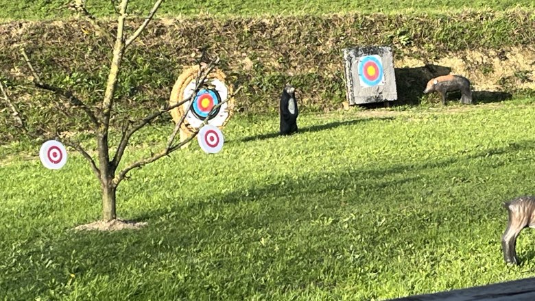 3D archery course - BSV B&auml;renwaldleiten, &copy; 3D Bogenparcours &ndash; BSV B&auml;renwaldleiten