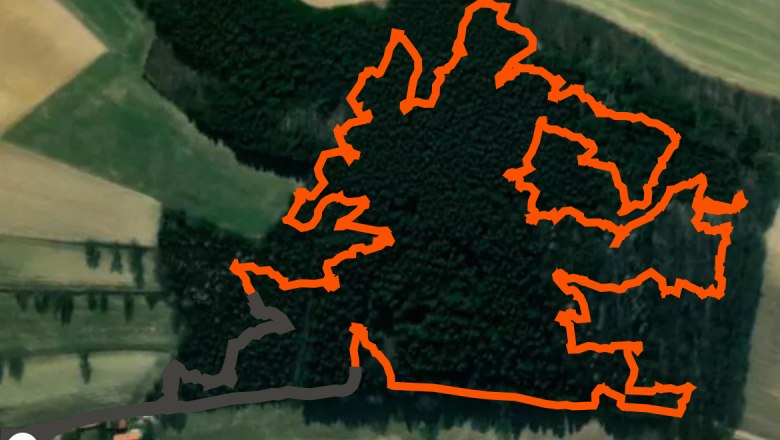 3D archery course - BSV B&auml;renwaldleiten, &copy; 3D Bogenparcours &ndash; BSV B&auml;renwaldleiten