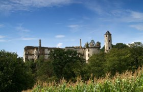 Burgruine Hohenegg, &copy; Franz Weinhofer