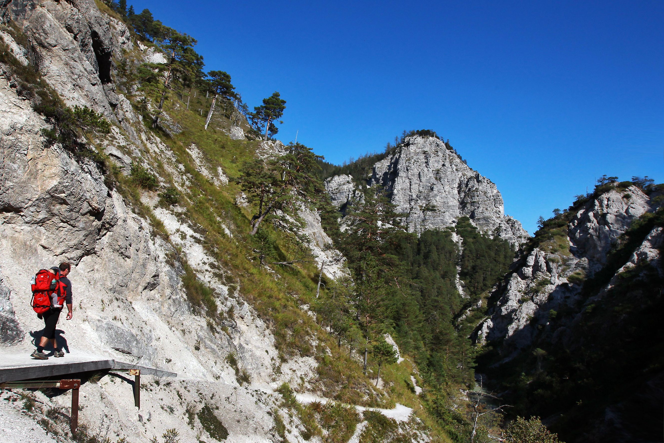 Person wandert auf einem schmalen Pfad in den Ötschergräben, umgeben von steilen Felswänden und Kiefern, unter klarem blauem Himmel.