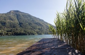 Ausblick auf den Lunzer See, &copy; schwarz-koenig.at
