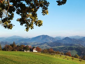 Blick über die weitläufige Landschaft am Panoramahöhenweg, © weinfranz.at