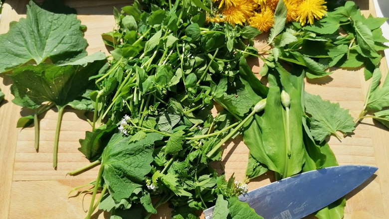 Zahlreiche Wildkräuter eignen sich für den Verzehr, © Sigrid Hagen