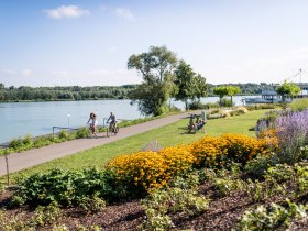 Cyklist&eacute; v piknikov&eacute; oblasti Tulln, &copy; Donau Nieder&ouml;sterreich - Kamptal-Wagram-Tullner Donauraum